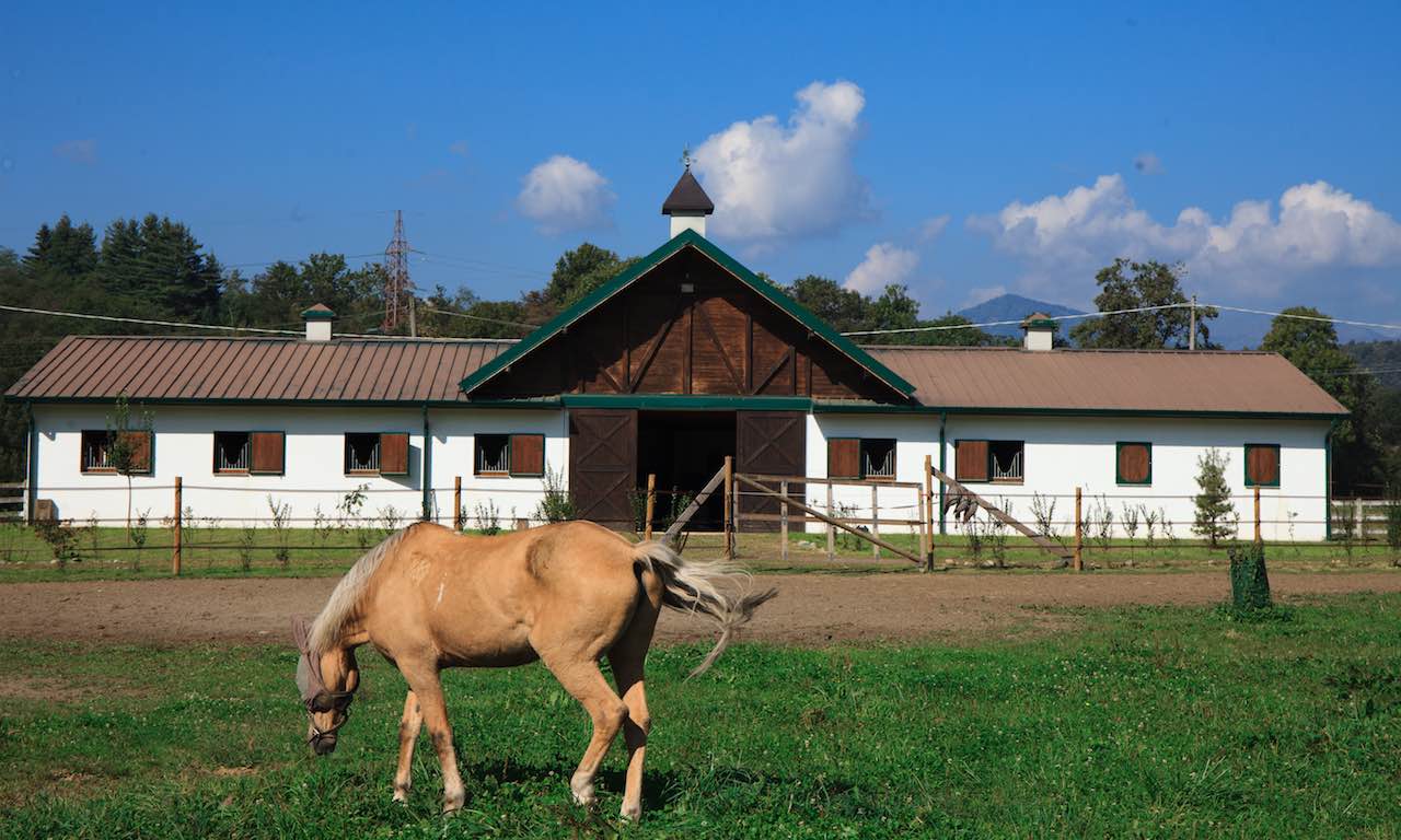 monteoro hv scuderia nuova cavallo